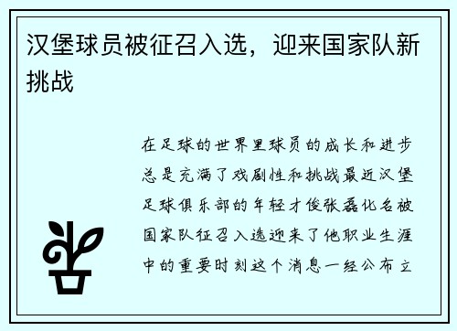 汉堡球员被征召入选，迎来国家队新挑战