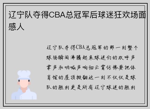 辽宁队夺得CBA总冠军后球迷狂欢场面感人