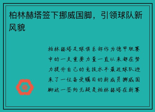 柏林赫塔签下挪威国脚，引领球队新风貌