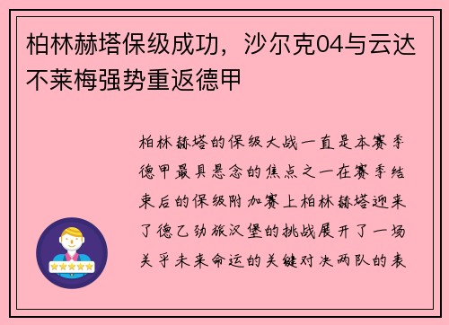 柏林赫塔保级成功，沙尔克04与云达不莱梅强势重返德甲